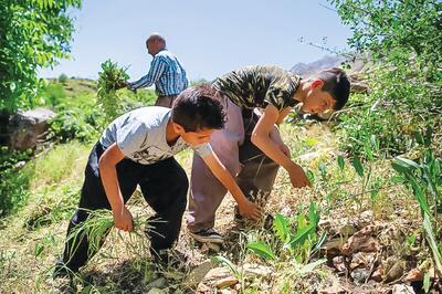  آشنایی فرزندان با آموزه‌های سبک زندگی سنتی آنان را صرفه‌جو می‌کند