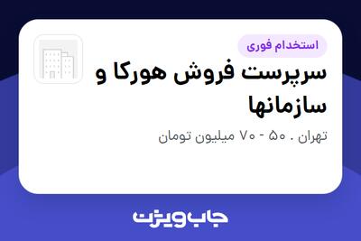  استخدام سرپرست فروش هورکا و سازمانها در سازمانی فعال در حوزه کالاهای مصرفی و تند گردش