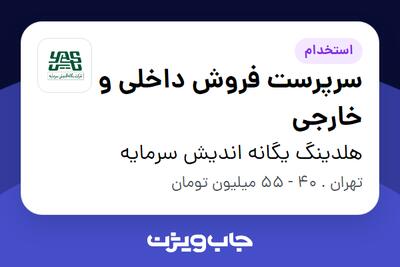 استخدام سرپرست فروش داخلی و خارجی در هلدینگ یگانه اندیش سرمایه