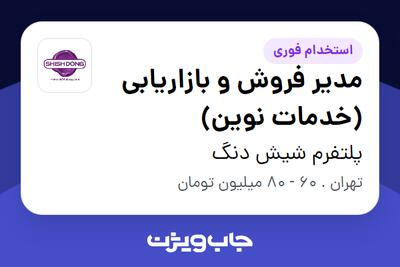  استخدام مدیر فروش و بازاریابی (خدمات نوین) - خانم در پلتفرم شیش دنگ