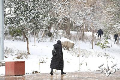 برف سنگین و یلدایی در راه تشنه‌ترین استان‌های ایران | مردم این استان‌ها منتظر ۳ روز برفی باشند - مجله اینترنتی کولاک