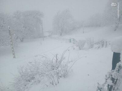 فیلم برف ۵۰ سانتی‌متری در روستاهای کاشان