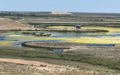 فیلم/ تالابی که خشکیده بود پر آب شد