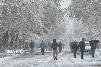 عکس/ بارش برف پاییزی در همدان