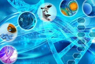  خسارت سه میلیارد دلاری بهای مقاومت در مقابل زیست‌فناوری کشاورزی