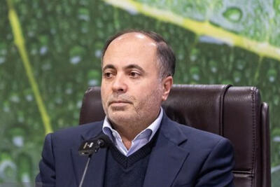 ترخیص 4 میلیون تن نهاده دامی/ شرایط برای استمرار تولید فراهم است