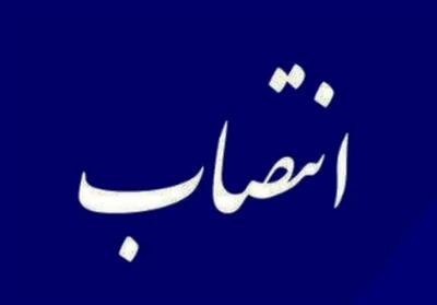 «طاهره چنگیز» معاون آموزشی وزارت بهداشت شد