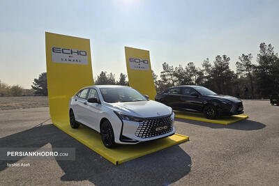 جزئیات موتور ترند جهانی در لاماری اکو