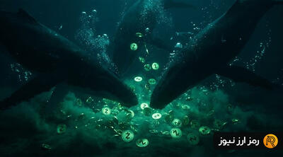 ریسک سقوط زی‌کش به ۳۰۰ دلار؛ آیا نهنگ‌ها مانع ریزش می‌شوند؟