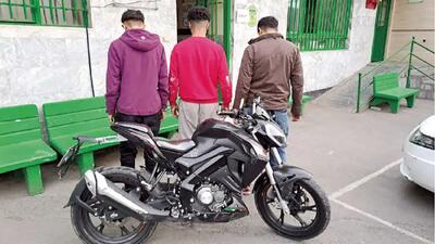 پایان کار باند خطرناک موبوکسوری ها در مشهد