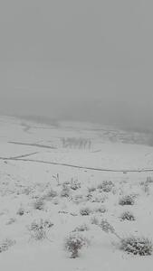 فیلم / بارش برف در روستای وراینه نهاوند