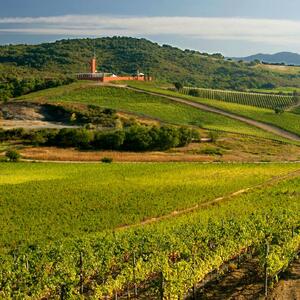  نمایی از میدان نقش جهان از ایوان عالی قاپو