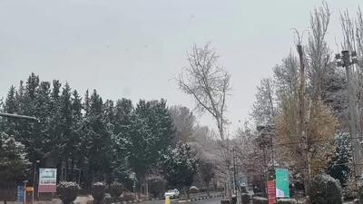 فیلم / نمایی زیبا از بارش برف پائیزی در دانشگاه شهید بهشتی تهران