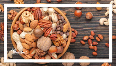 مغزهای خوراکی؛ اکسیر سلامت برای مادر و جنین