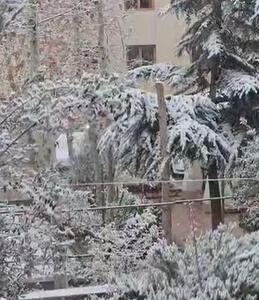 اولین بارش برف پاییزی در تهران + فیلم - سلام نو