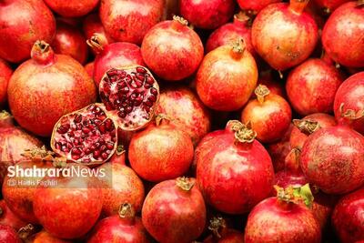تعداد مراکز سیار عرضه میوه در سطح شهر مشهد به ۲۰ واحد افزایش یافت