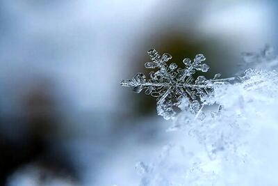 ماندگاری هوای سرد در تهران تا اواسط هفته آینده