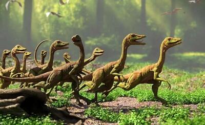 کشف صدها ردپای دایناسور در کوه های آلپ+ ویدئو