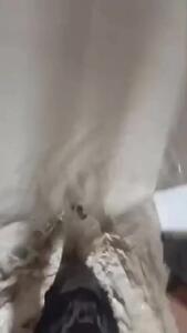 فیلمی از سیل وحشتناک در قشم