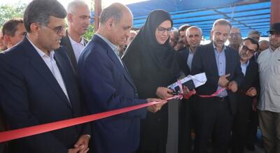  حفاظت از خاک و منابع طبیعی با تکیه بر مدیریت علمی و مشارکت عمومی