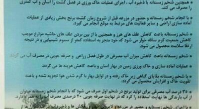  شخم زمستانه؛ راهکاری علمی برای کنترل آفات و کاهش بیماری‌های گیاهی