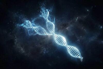  آیا ناپدیدشدن کروموزوم Y به معنای انقراض مردان است؟