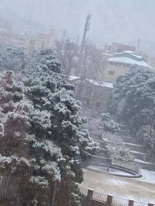  عکس: بارش برف در نیاوران و درکه تهران