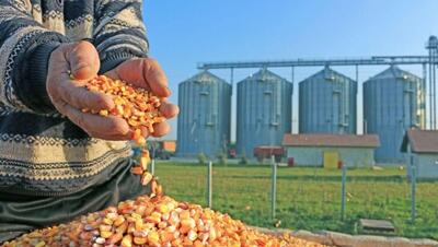 قدردانی صنعت طیور کشور از معاونت اقتصادی سازمان اطلاعات سپاه