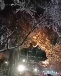  شیوۀ عجیب برف‌تکانی در شاندیز