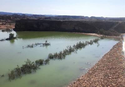 20 درصد حوزه آبخیز شهرستان دیر آبگیری شد - تسنیم