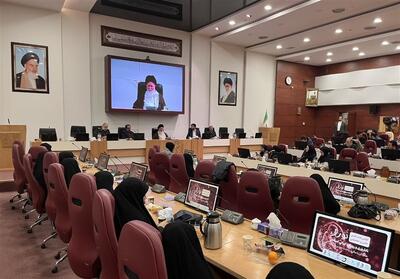 ناباروری؛ تهدید خاموش سرمایه انسانی کشور - تسنیم