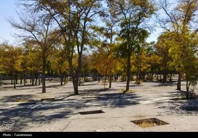 پایان سال‌ها بلاتکلیفی آرامستان دهخدا/ قفل مالکیت قبرستان شکست/ روایت تحول دهخدا - تسنیم