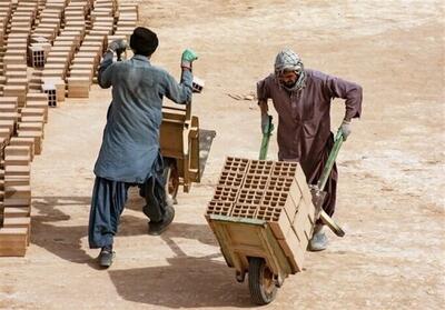 رونمایی از سامانه گزارش‌گیری محل سکونت و اشتغال اتباع غیرمجاز در کرمان - تسنیم