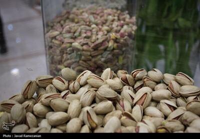 هسته‌ای در کشاورزی ــ 65 | دفع حشرات «پسته» با فناوری هسته‌ای - تسنیم