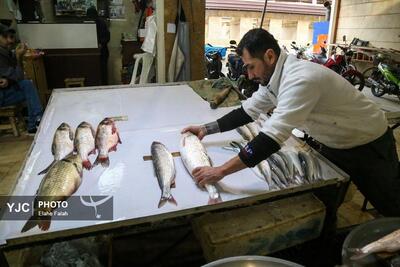 بازاری با بوی دریا، صدای ماهیگیران و رنگ‌ ماهیان تازه