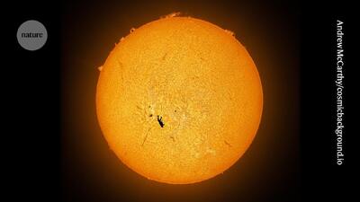  نیچر برترین تصاویر علمی سال ۲۰۲۵ را منتشر کرد