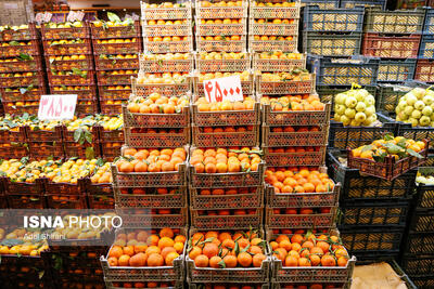 کمبودی در تأمین میوه‌های شب یلدا وجود ندارد / میوه شب یلدا کیلویی چند؟