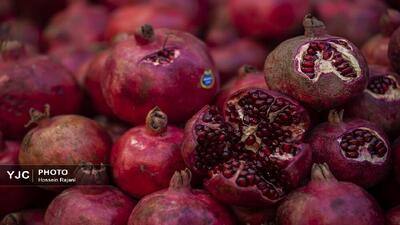 اعلام روش‌های مشارکت مردم در پویش ملی یلدای مهربانی