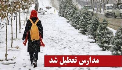  مدارس برخی شهرستان‌های کردستان فردا شنبه غیرحضوری است