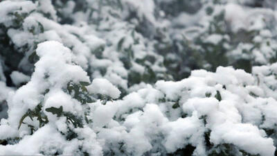 ایران سردتر می‌شود