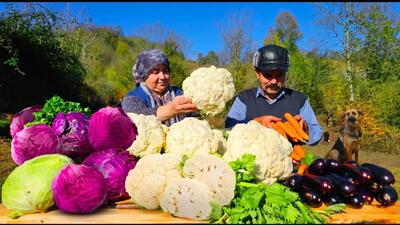  غذای محلی ایران: تهیه ترشی گل‌کلم در روستا (فیلم)