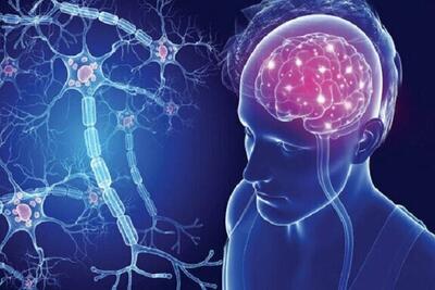  شیوه متفاوت ابتلای مردان و زنان به «بیماری‌های عصبی»