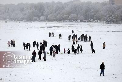تصاویر جذاب از برف بازی مردم در نقش‌جهان اصفهان