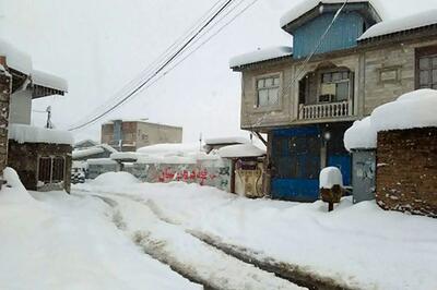 خبر جدید؛ شادی یک هموطن از برف سنگین لرزنه سوادکوه