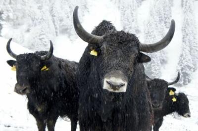 پایان یک هفته پرالتهاب دیگر