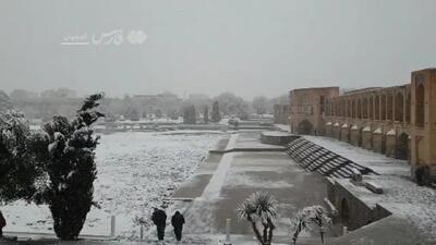 ببینید/ نصف‌جهان سفیدپوش از برف