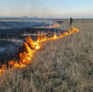 جزئیات مهار آتش‌سوزی در پارک ملی دریاچه ارومیه