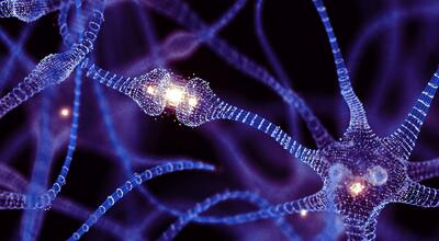 حقیقت پنهان درباره توانایی مغز برای رشد سلول‌های جدید