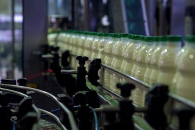 کاهش ۱۰ درصدی مصرف لبنیات در کشور از ابتدای امسال