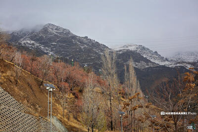چرا تهران ابری می‌شود اما باران نمی‌بارد؟ | ممکن است تلاش بشری مانع از بارندگی ابرها در تهران شود؟